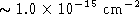tex2html_wrap_inline1077