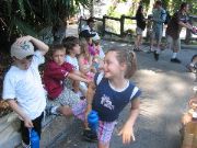 IMG_0902.JPG