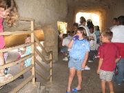 IMG_0877.JPG