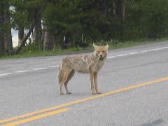 IMG_1041.JPG